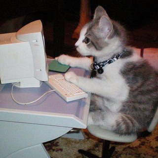Telegram profile photo for Прайс программиста AllCodny