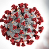 Telegram profile photo for StopCoronavirus. День Первый