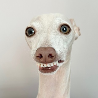 Telegram profile photo for Томас