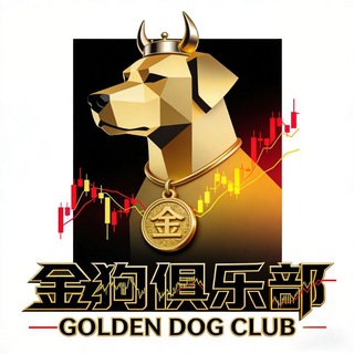 Telegram profile photo for 金狗加密娱乐部