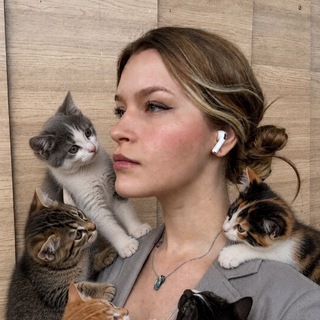 Telegram profile photo for The kitten design club