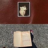 Telegram profile photo for Red-book; journey, A portion of the invisible. 🖇📕