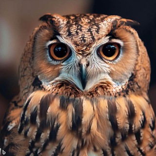 Telegram profile photo for π
π
π
π
£π
π
π
π
π
‘π
π
π
π
π―