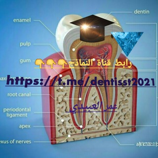 Telegram profile photo for "The Best Dentists 1"