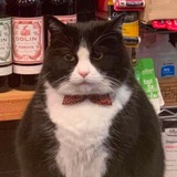 Telegram profile photo for Mitya Filosof