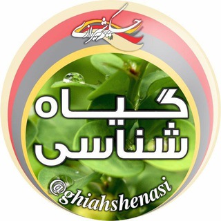 Telegram profile photo for گیاه شناسی