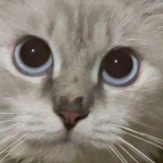 Telegram profile photo for anak baik