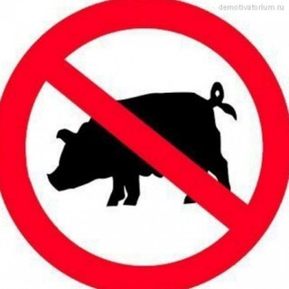 Telegram profile photo for ТРУППЫ ХОХЛОВ УБИЙСТВО ВСУ