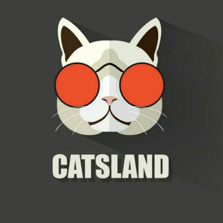 Telegram profile photo for CATSLAND - коты, кошки и котята