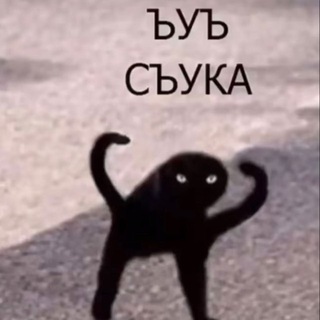 Telegram profile photo for Передача «сдохни или умри»