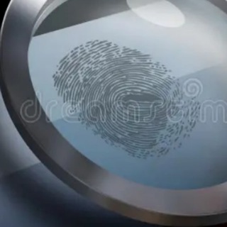 Telegram profile photo for В поиске компроматов