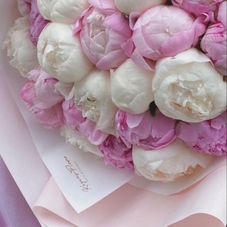 Telegram profile photo for Цветочный день!💐@Flowerdayshop