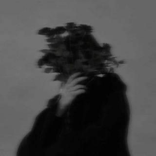 Telegram profile photo for WhispersForYou ™ |🌵
