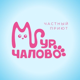 Telegram profile photo for Мурчалово🩷