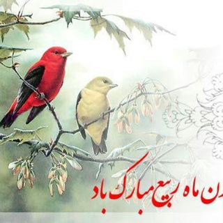 Telegram profile photo for معرفت و معنویت