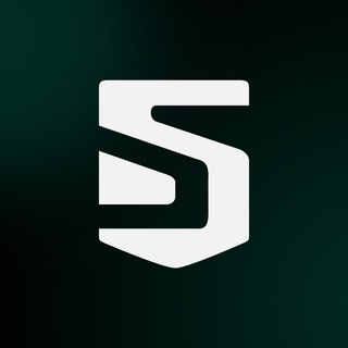 Telegram profile photo for VPN solid