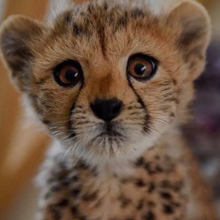 Telegram profile photo for ️* ҈҈҈҉҉҉҉҈҈҈҈҈҉҉҉҉҈҈҈҉҉҉҈҈҈҉҉҉҈҈҈҈҉҉҉҉҉҉҉҉҉҉҉҉҉҉҉҉҉҉҉҉҉҉҉҉҉҉҉҉҉҉