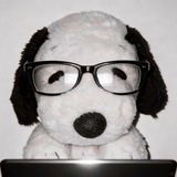 Telegram profile photo for vina/vv