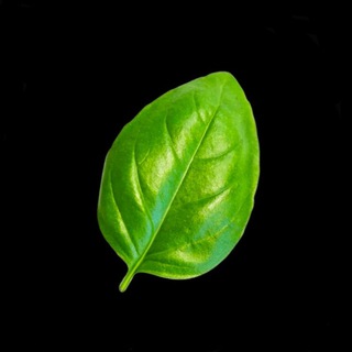 Telegram profile photo for Green Trading club