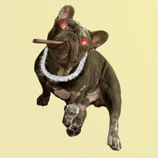 Telegram profile photo for GANGSTA PORTAL