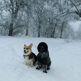 Telegram profile photo for Нюх ТайТо