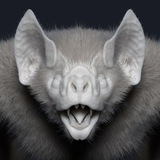Telegram profile photo for Лігво кажана 🦇