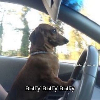 Telegram profile photo for Подвал дебила