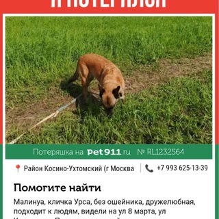 Telegram group profile photo for поиск урсы