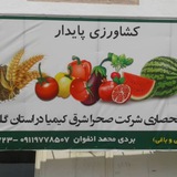 Telegram profile photo for کشاورزی نوین وپایدار ایران