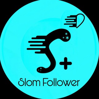 Telegram profile photo for SlomFollower App