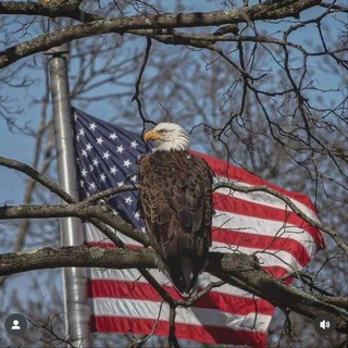 Telegram profile photo for 🇺🇸 AQSh Real Hayot