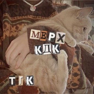 Telegram profile photo for М📀РХ КДК ЗДЕСЬ!