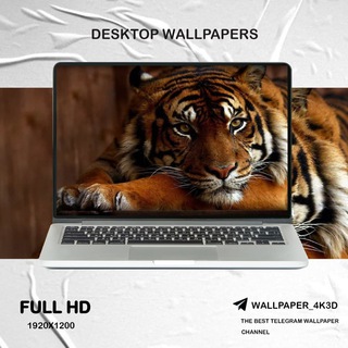 Telegram profile photo for Laptop Wallpaper