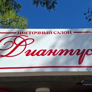 Telegram profile photo for Цветочный салон «Диантус»