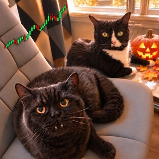 Telegram profile photo for 🎃