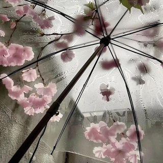 Telegram profile photo for ЗАКРЫТ 🔒 自然 мαмყля хuкαрu 🩴 ꒱꒱