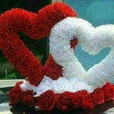 Telegram profile photo for رٙسائِلـ منـ القٙلبـ 💌