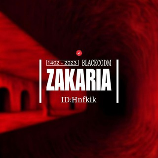 Telegram profile photo for 𝗰𝗵𝗮𝗻𝗻𝗲𝗹:Zakaria