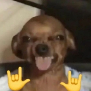 Telegram profile photo for Скуф Хаус