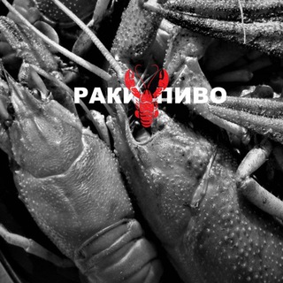 Telegram profile photo for Rak.in.ua_dnipro
