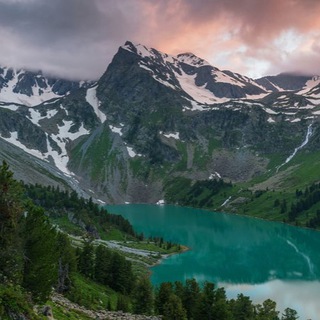 Telegram profile photo for Катунский заповедник