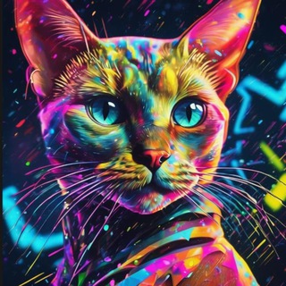 Telegram profile photo for Joni4yarda 🟣 CRYPTO