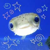 Telegram profile photo for одинокий 🐟анчоус