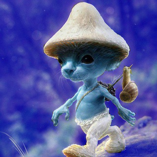 Telegram profile photo for Smurcat Portal