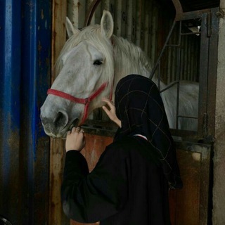 Telegram profile photo for تبلیغات کانال مذهبی