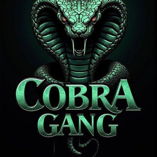 Telegram profile photo for COBRA GANG COURSESS CHANNELS LIST