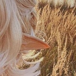 Telegram profile photo for Diary of an elf | Эльфийская эстетика и новости 🌙✨