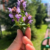Telegram profile photo for Тест