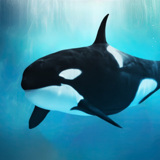 Telegram profile photo for Косатка Ная