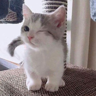 Telegram profile photo for unsubs aja kak